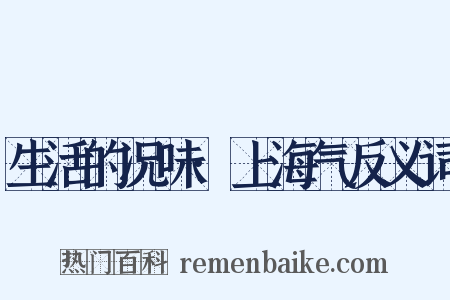 生活的况味·上海气反义词是什么意思的图片